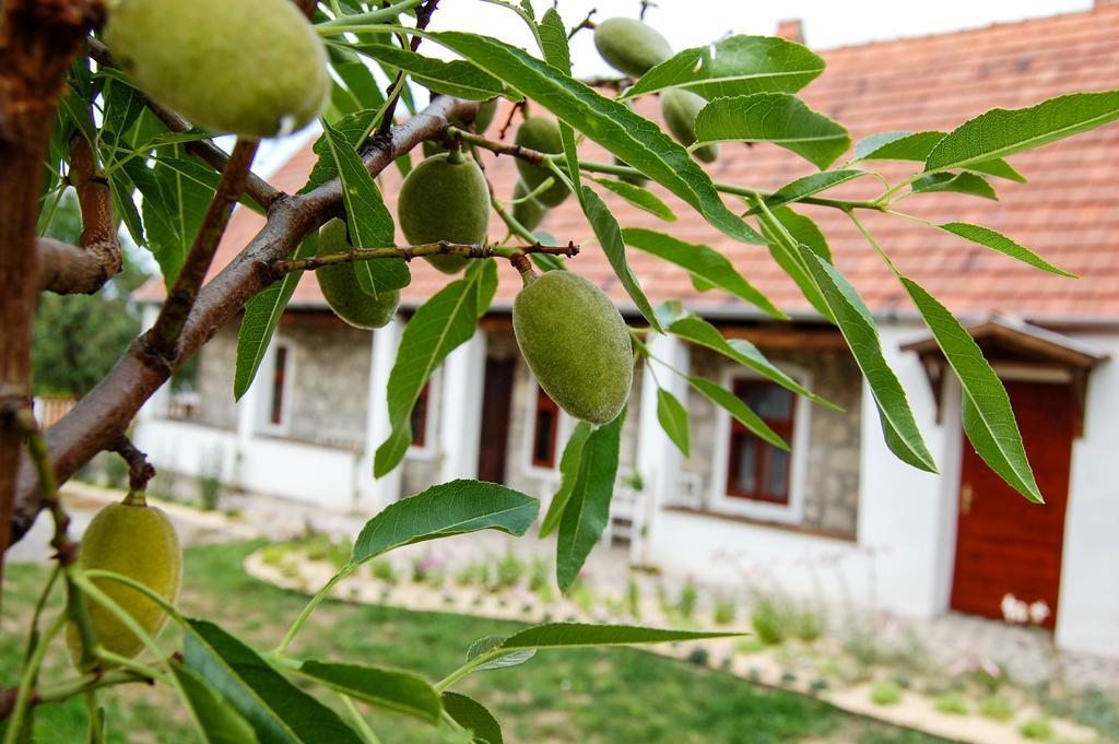 Vitamin B63 Vendégház Boldogkovaralja Esterno foto